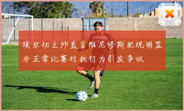 埃尔切主帅直言维尼修斯犯规明显非正常比赛对抗行为引发争议