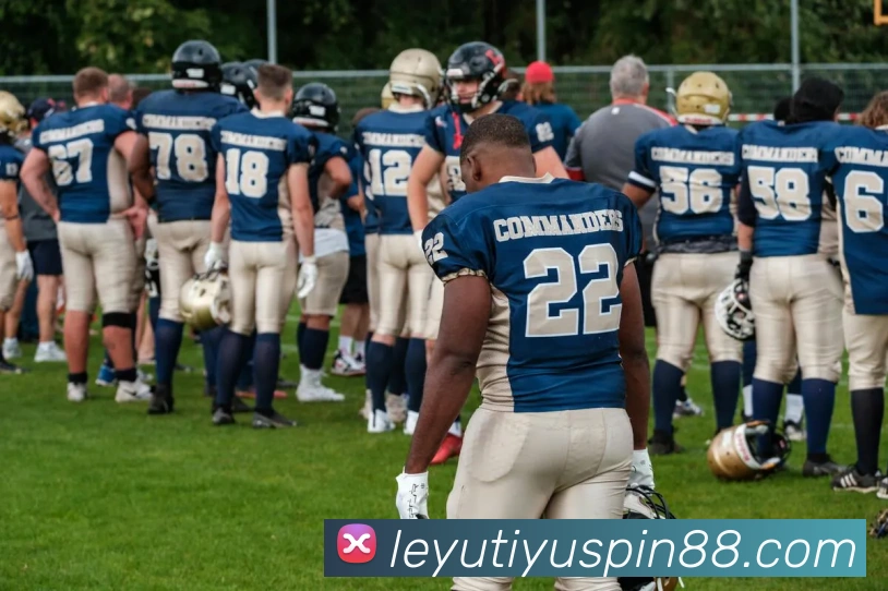 乐鱼体育平台生态图